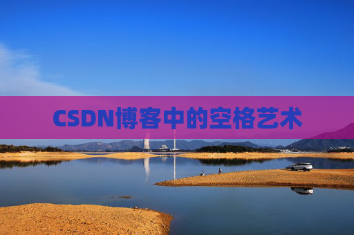 CSDN博客中的空格艺术